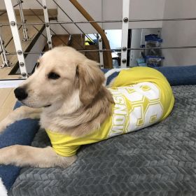 Summer Dog Thin Pet Clothing Vest (Option: 68Tshirt Bright Yellow-3XL)